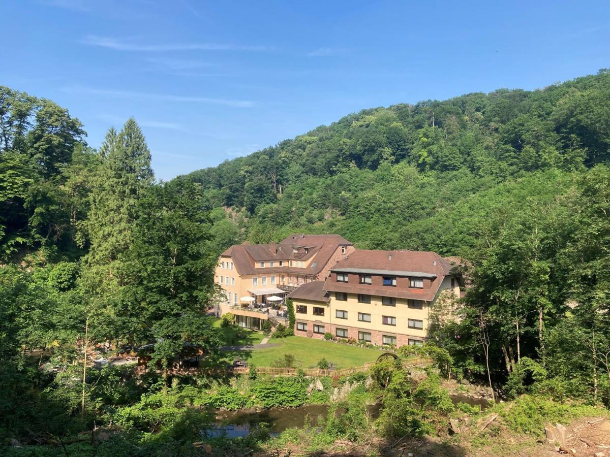 Hotel Fuchs'Sche Muehle Weinheim Esterno foto